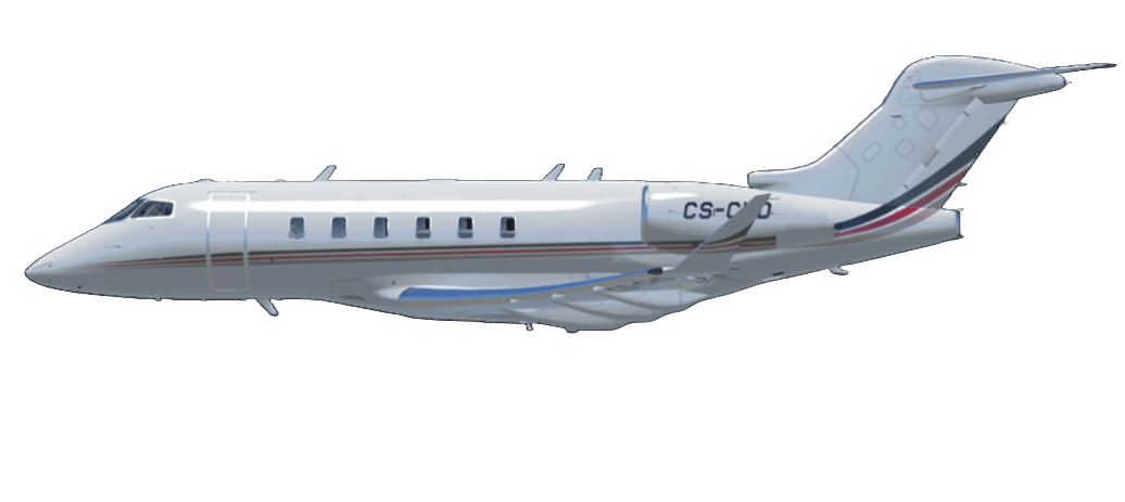 Qatari Virtual Challenger 350