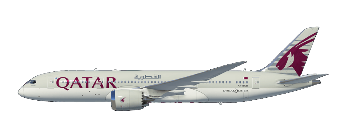 Qatari Virtual B787-8